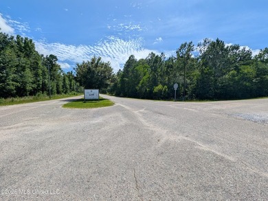 Calling all Aviators - This wonderful corner lot offers 112+/- - photo 6