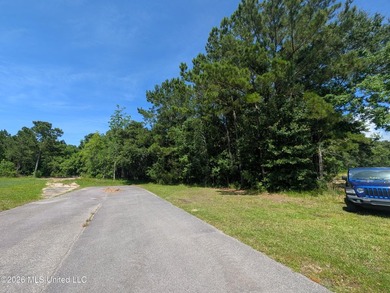 Calling all Aviators - This wonderful corner lot offers 112+/- - photo 7