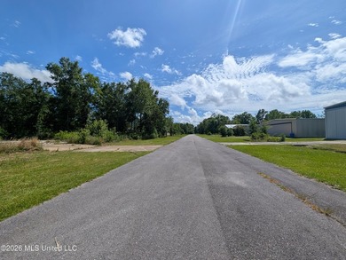 Calling all Aviators - This wonderful corner lot offers 112+/- - photo 8