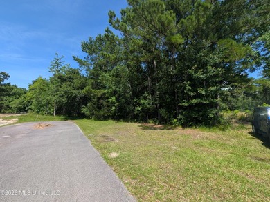 Calling all Aviators - This wonderful corner lot offers 112+/- - photo 10