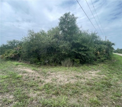 Lehigh Acres Area Lot For Sale in Lehigh Acres Florida