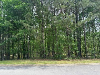 Build your dream home in The Fairways, a highly sought-after - photo 4