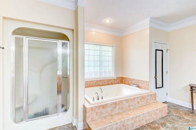 ***PRICE DROP $200,000*** Sellers are motivated! Experience - photo 45