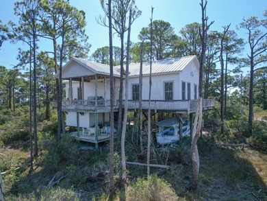 Welcome to a truly rare offering on Dog Island-an iconic island - photo 46