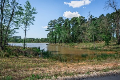 Dreaming of lake life? Lot 53 at Big Rock Lake offers 1.32 acres - photo 8