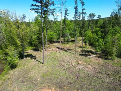 Dreaming of lake life? Lot 53 at Big Rock Lake offers 1.32 acres - photo 9