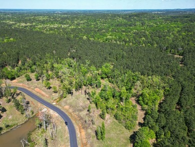 Dreaming of lake life? Lot 53 at Big Rock Lake offers 1.32 acres - photo 11