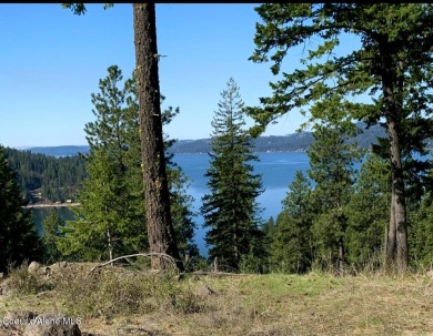 Lake Lot For Sale in Harrison, Idaho