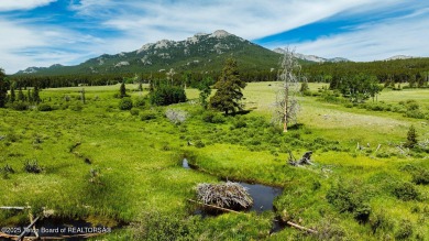 (private lake, pond, creek) Acreage For Sale in Buffalo Wyoming