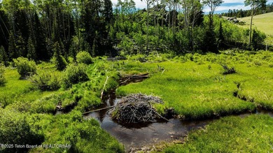 For the first time ever, this Historic Hazelton Peak Retreat - photo 2