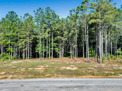 MOTIVATED SELLER! If you are looking for a great lot with a - photo 2