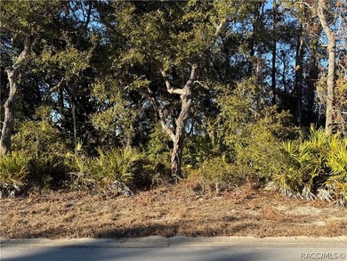 Here is a great building lot for your new single family home - photo 3