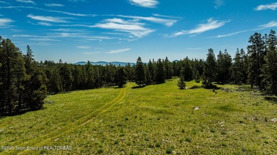 For the first time ever, this Historic Hazelton Peak Retreat - photo 3