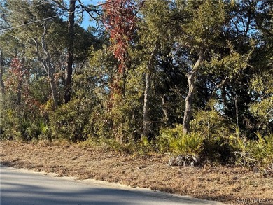 Here is a great building lot for your new single family home - photo 4