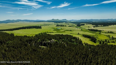 For the first time ever, this Historic Hazelton Peak Retreat - photo 4