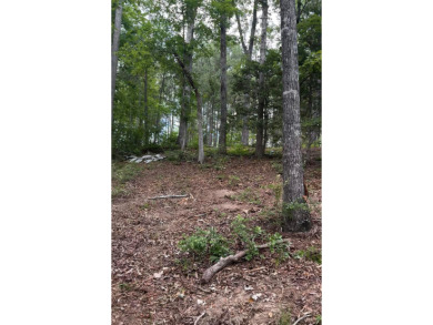 MOTIVATED SELLER! If you are looking for a great lot with a - photo 4