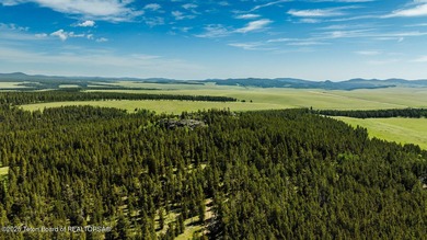 For the first time ever, this Historic Hazelton Peak Retreat - photo 5