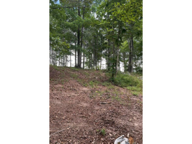 MOTIVATED SELLER! If you are looking for a great lot with a - photo 5