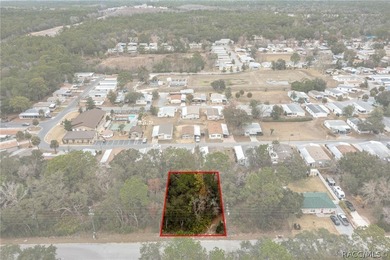 Here is a great building lot for your new single family home - photo 7