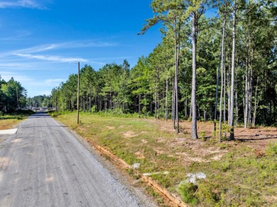 MOTIVATED SELLER! If you are looking for a great lot with a - photo 9