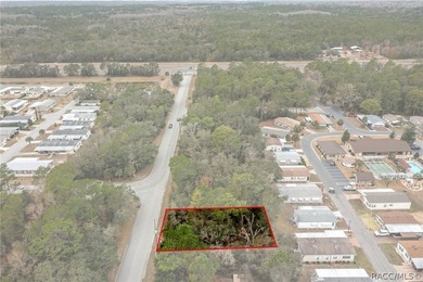 Here is a great building lot for your new single family home - photo 10