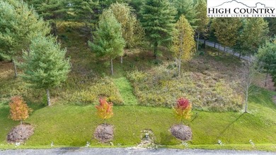 (private lake, pond, coastal) Lot For Sale in Spruce Pine North Carolina