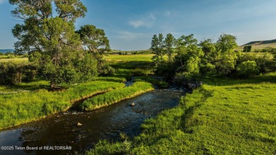 (private lake, pond, creek) Acreage For Sale in Buffalo Wyoming
