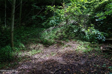 Set amid the natural beauty of the Nantahala Mountains, this 1 - photo 11