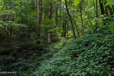 Set amid the natural beauty of the Nantahala Mountains, this 1 - photo 12