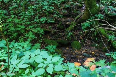 Set amid the natural beauty of the Nantahala Mountains, this 1 - photo 13