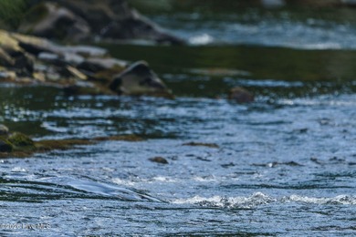 Set amid the natural beauty of the Nantahala Mountains, this 1 - photo 16