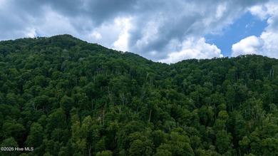 Set amid the natural beauty of the Nantahala Mountains, this 1 - photo 18