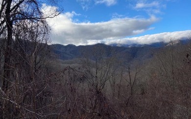 Set amid the natural beauty of the Nantahala Mountains, this 1 - photo 21