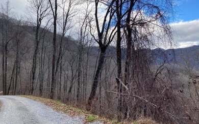 Set amid the natural beauty of the Nantahala Mountains, this 1 - photo 24