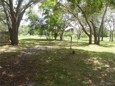 GREAT INVESTMENT OPPORTUNITY....This 3/2 home has an *in -law* - photo 24