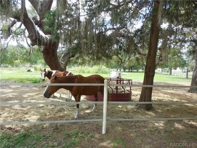 GREAT INVESTMENT OPPORTUNITY....This 3/2 home has an *in -law* - photo 27