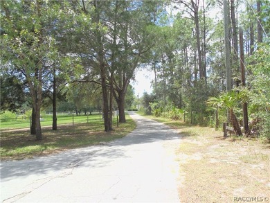 GREAT INVESTMENT OPPORTUNITY....This 3/2 home has an *in -law* - photo 28