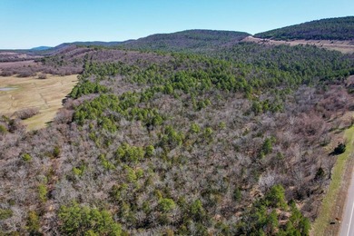 If you have been in the market for an awesome hunting property - photo 1