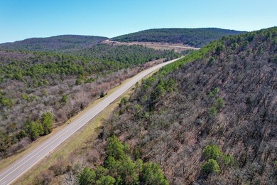 If you have been in the market for an awesome hunting property - photo 2