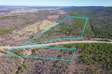 If you have been in the market for an awesome hunting property - photo 3