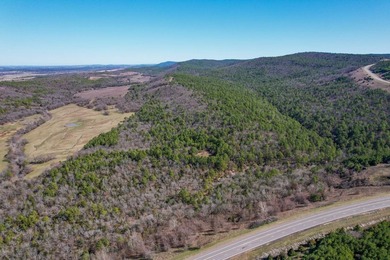 If you have been in the market for an awesome hunting property - photo 4