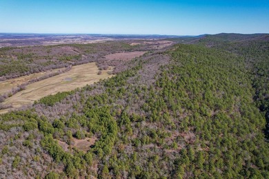 If you have been in the market for an awesome hunting property - photo 5