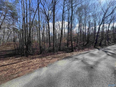 Lake Lot Off Market in Double Springs, Alabama