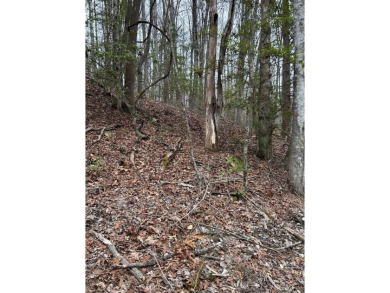 Lake Lot For Sale in Topton, North Carolina