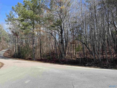Eskridge Lake Lot For Sale in Double Springs Alabama
