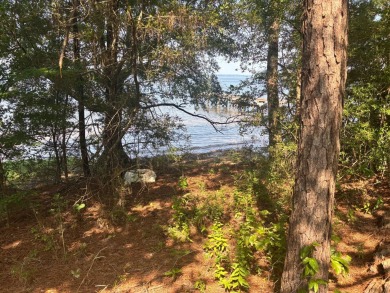 Lake Lot For Sale in Many, Louisiana
