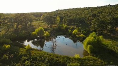 WELCOME TO THE PRESERVE AT 9A!! Nestled in a secluded cove, The - photo 30