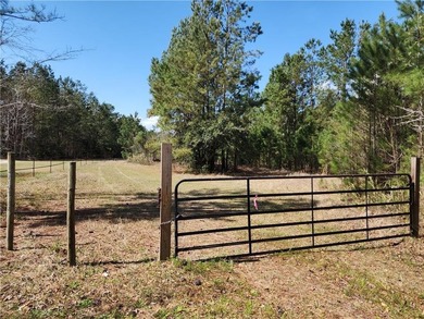 This property spans 1,175 acres and features over a mile of - photo 1
