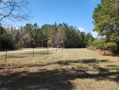This property spans 1,175 acres and features over a mile of - photo 2