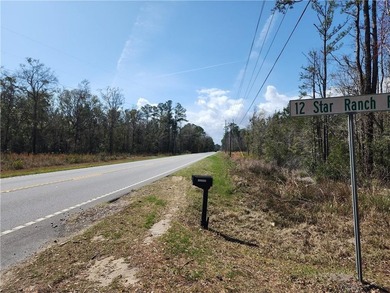 This property spans 1,175 acres and features over a mile of - photo 4